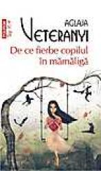 Poezii Despre Mămăligă